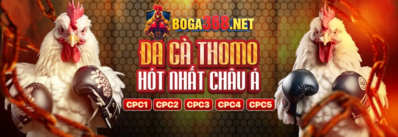 Kèo BDD (Hòa) trong đá gà 99v