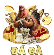 Biểu tượng mã hóa dữ liệu